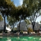 Single homes/Villas