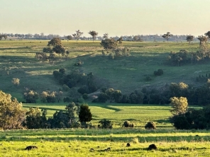 Delungra New South Wales Australia