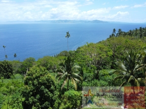 Taveuni  Fiji