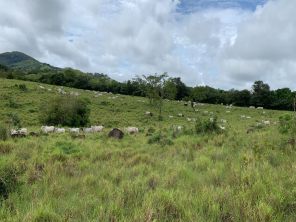 Sona Veraguas Province Panama