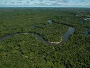 Apuí State of Amazonas Brazil