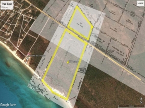 Grand Bahama  Bahamas