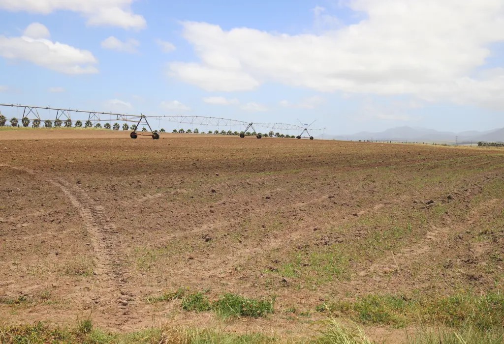 Blanco George Western Cape