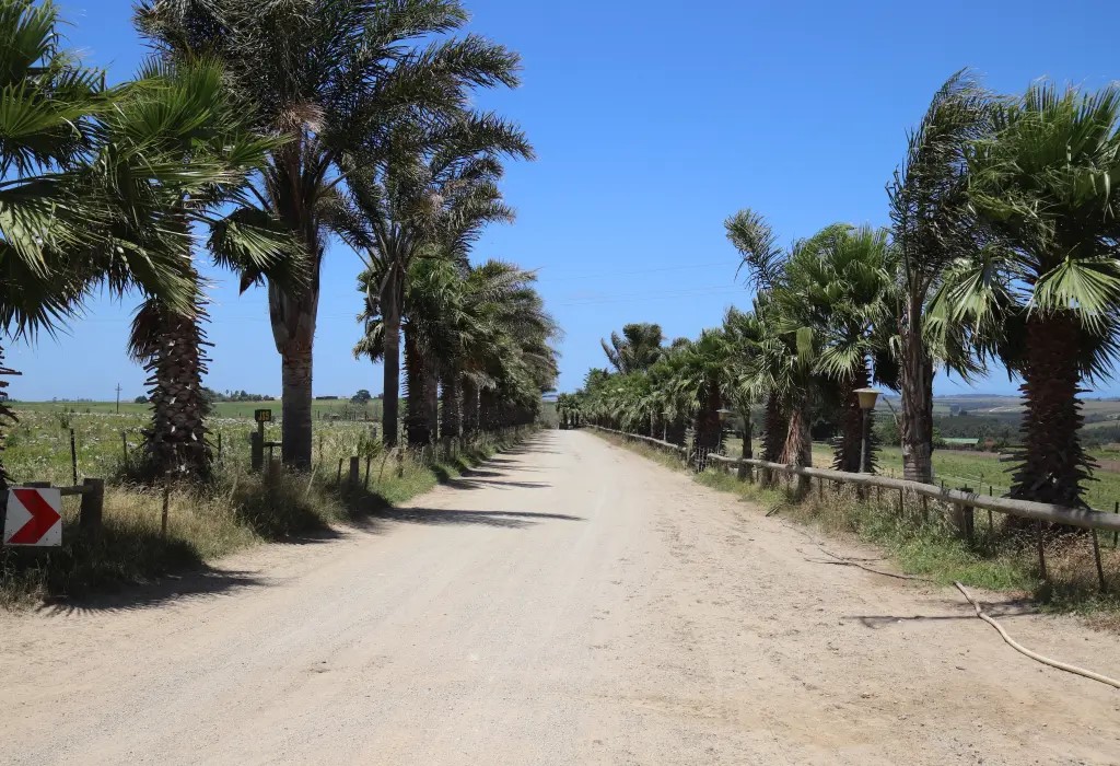 Blanco George Western Cape