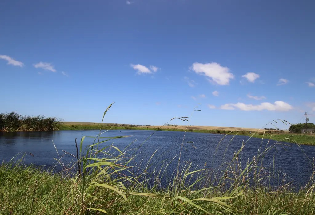 Blanco George Western Cape