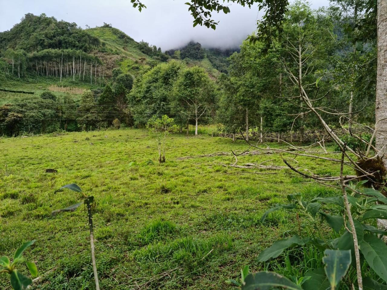 Unnamed Road Cotacachi Imbabura Province