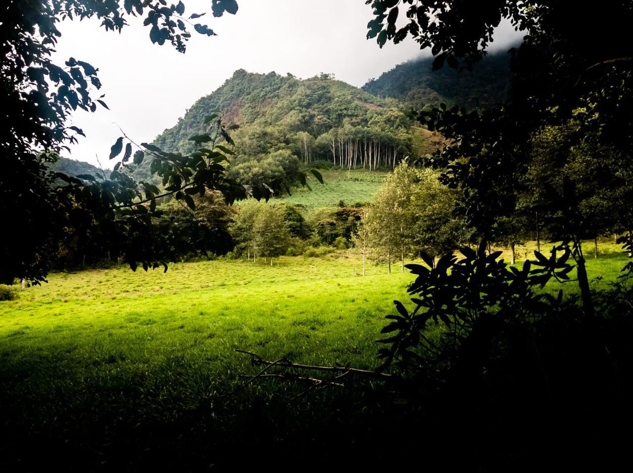 Unnamed Road Cotacachi Imbabura Province