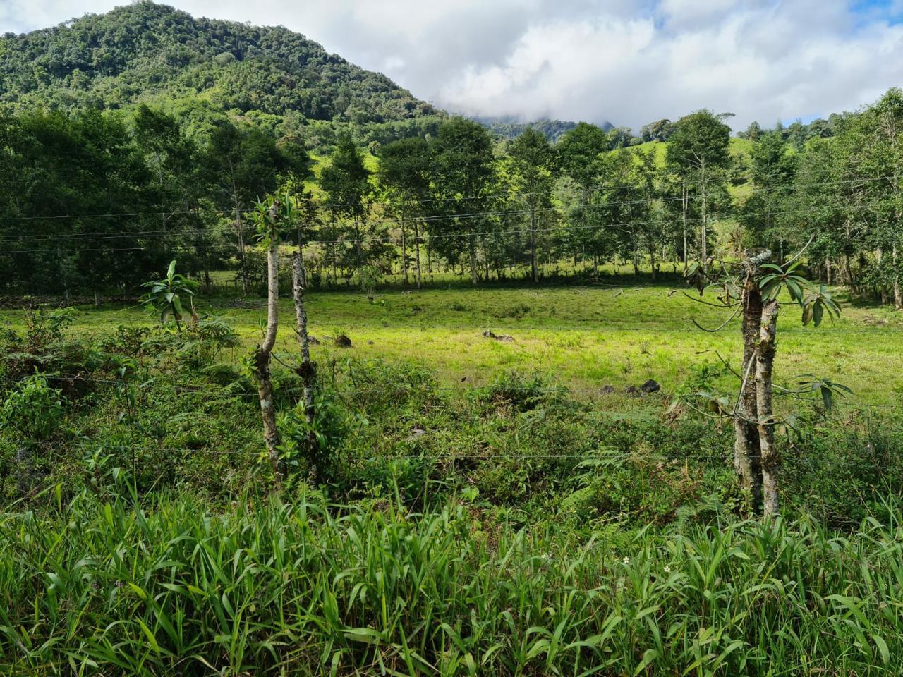 Unnamed Road Cotacachi Imbabura Province