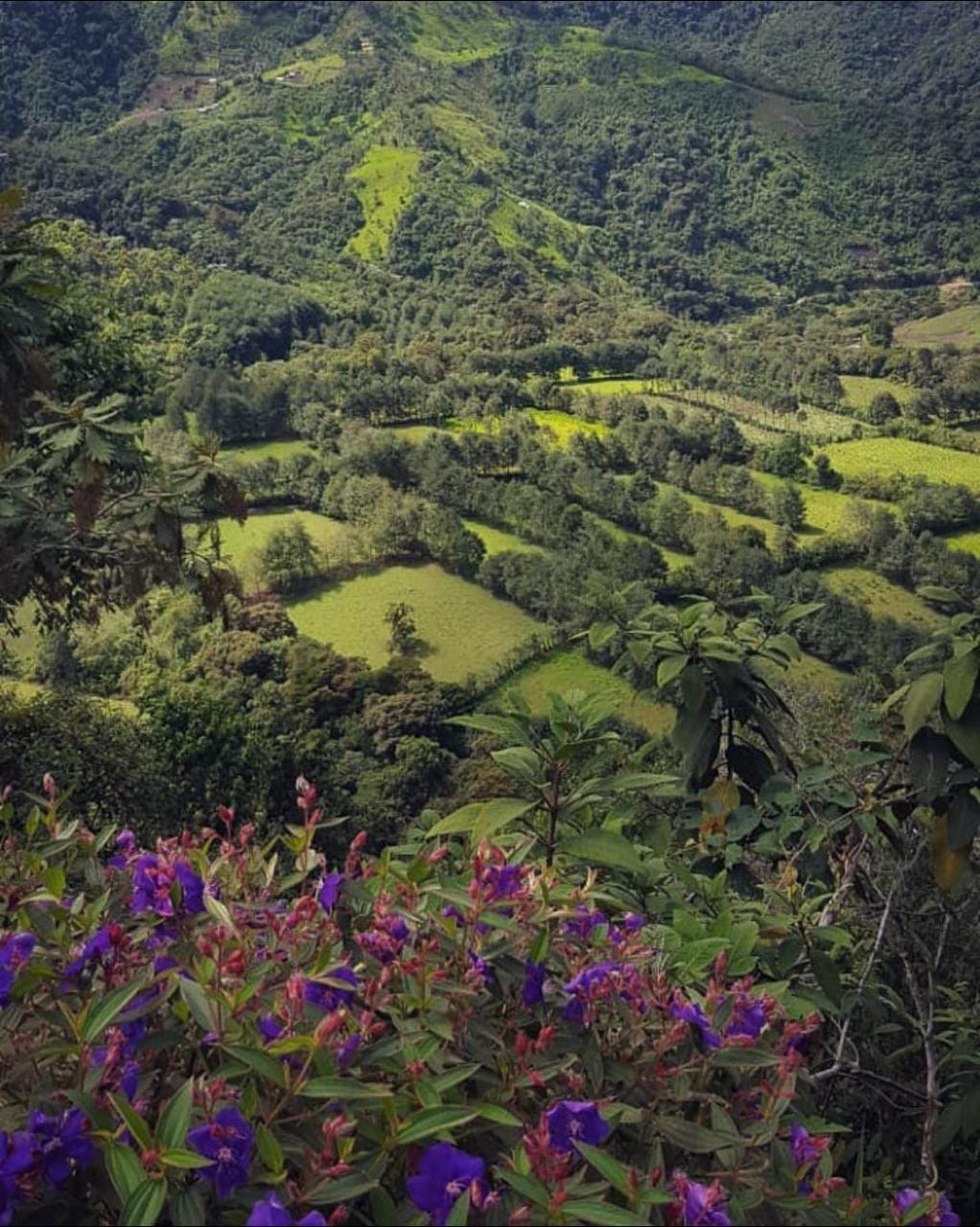 Unnamed Road Cotacachi Imbabura Province
