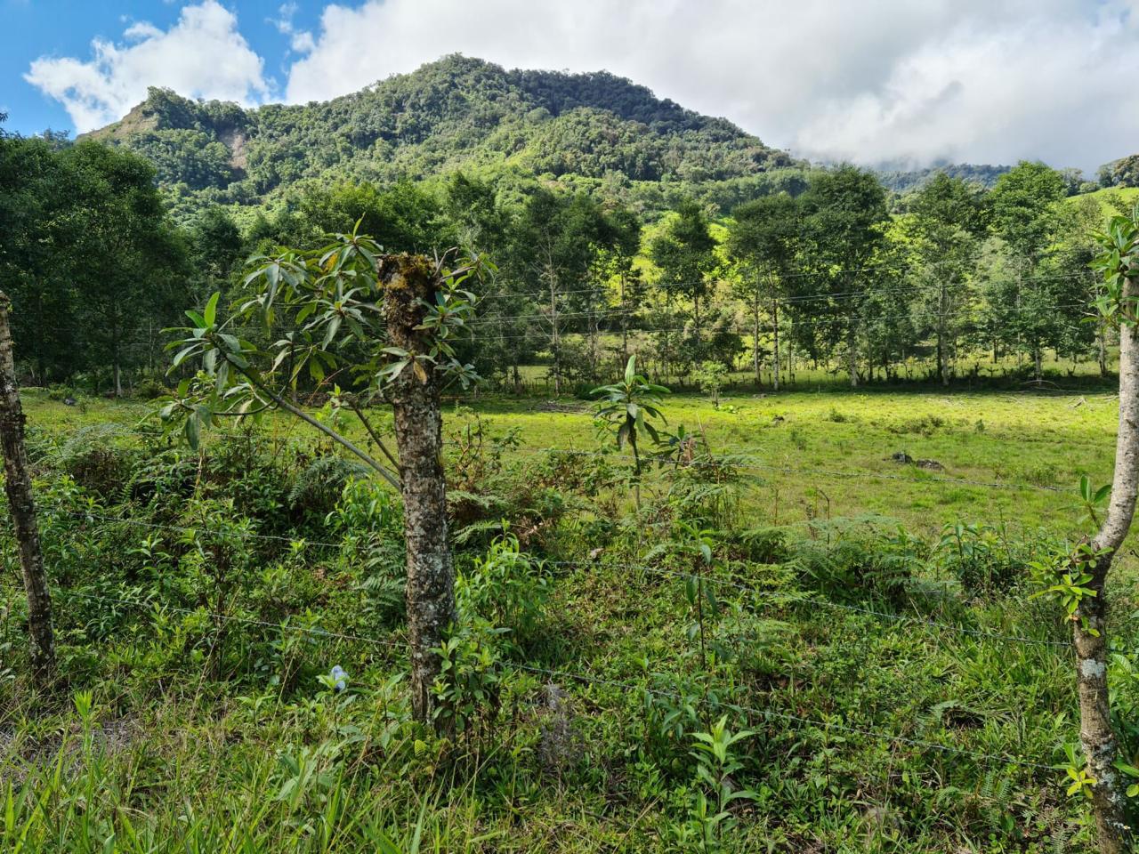 Unnamed Road Cotacachi Imbabura Province