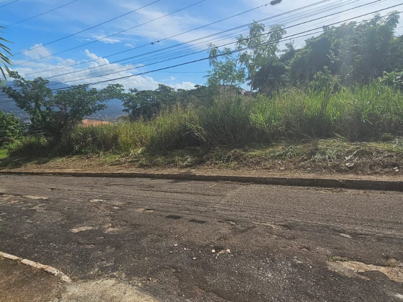 6 Upper Stanmore Rd, Kingston, Jamaica Kingston St. Andrew Parish