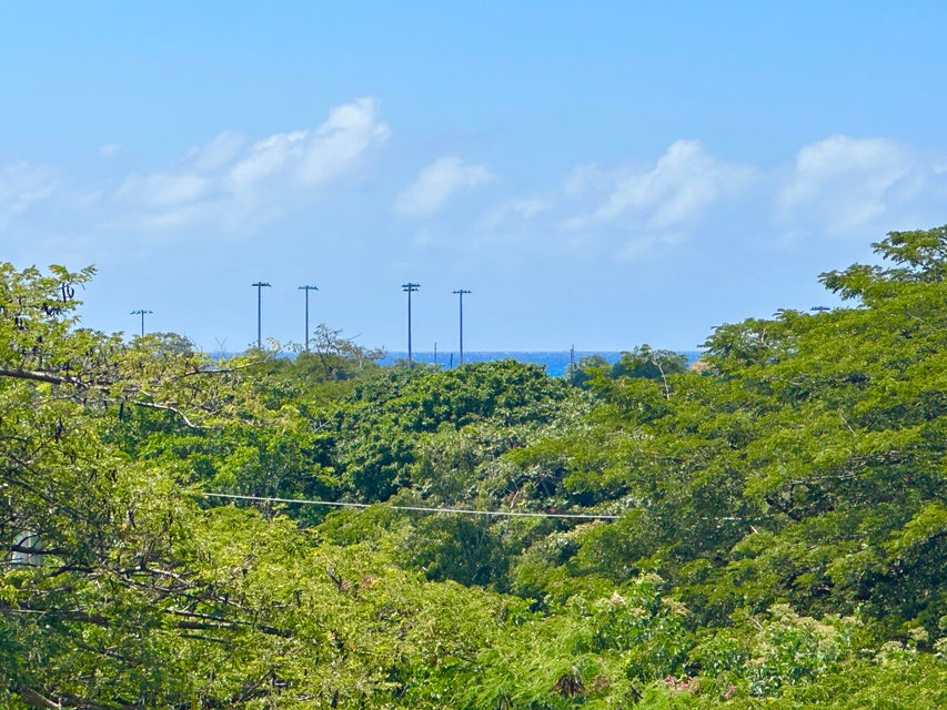 La Grange Road Frederiksted Southeast St. Croix