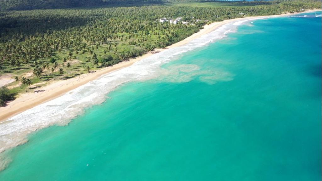 Las Terrenas Las Terrenas Samaná Province