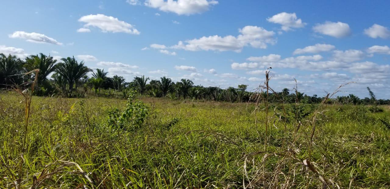 Cayo District Cayo District Unnamed Road 