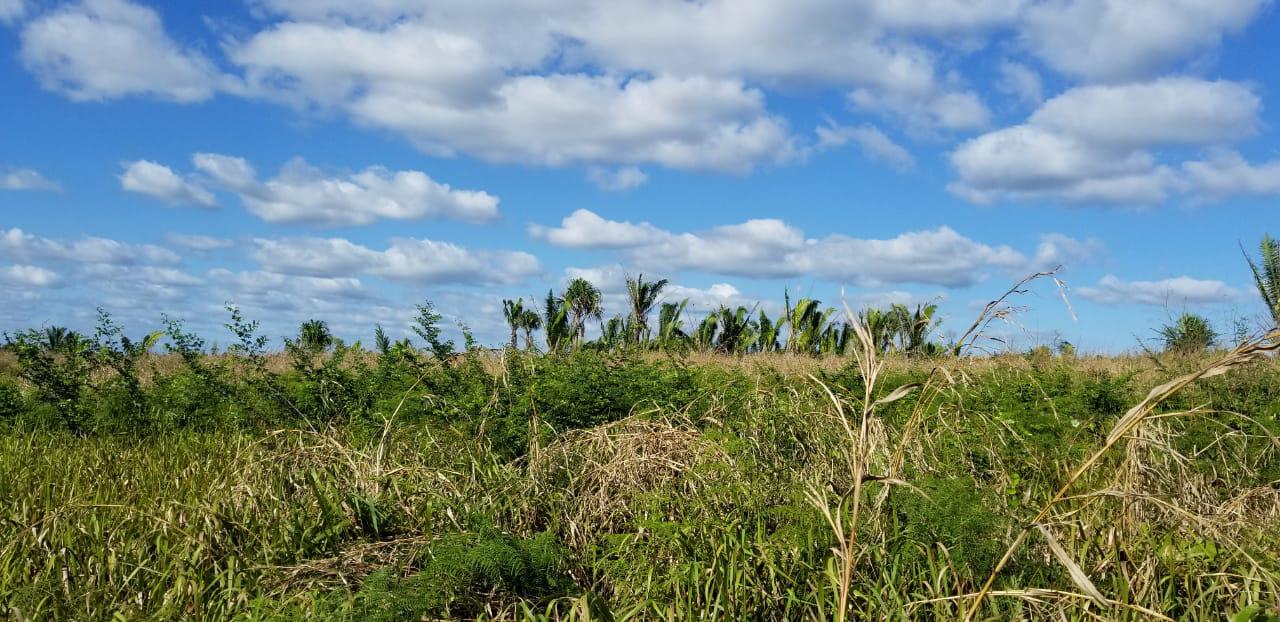 Cayo District Cayo District Unnamed Road 