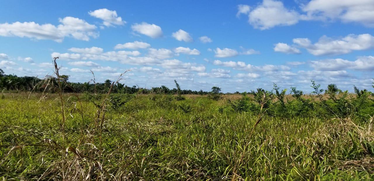 Cayo District Cayo District Unnamed Road 