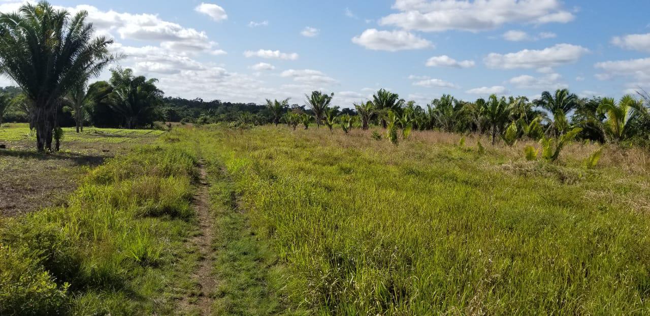 Cayo District Cayo District Unnamed Road 