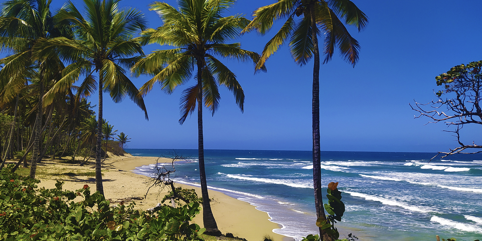 Cabarete Cabarete Puerto Plata Province