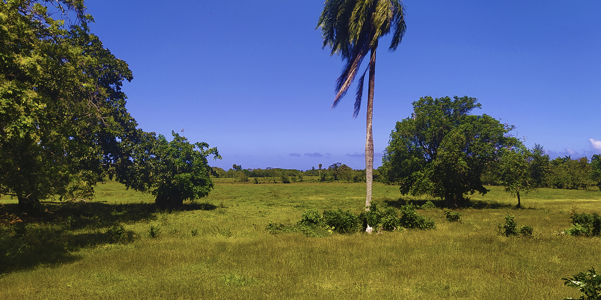 Cabarete Cabarete Puerto Plata Province
