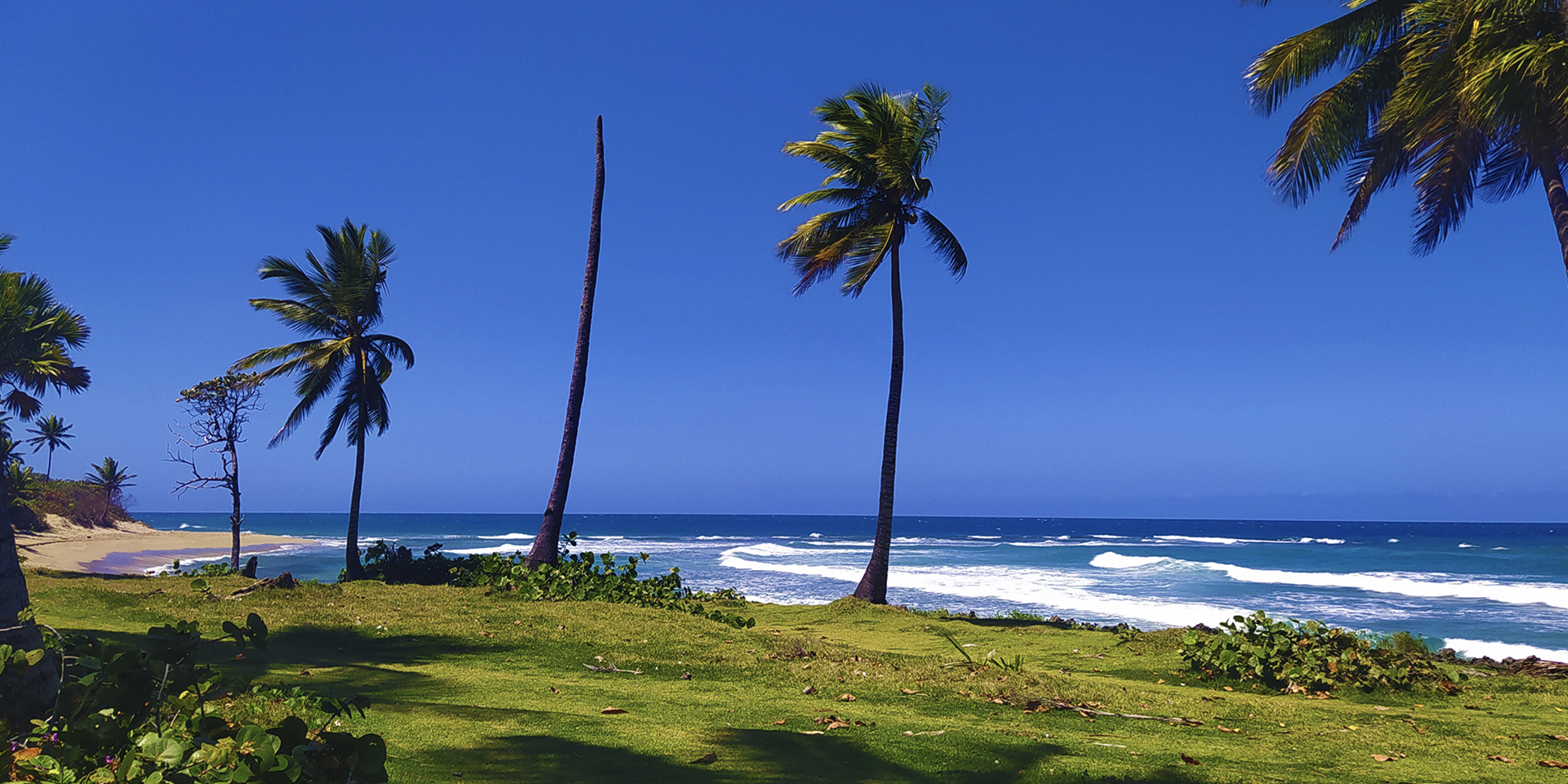 Cabarete Cabarete Puerto Plata Province