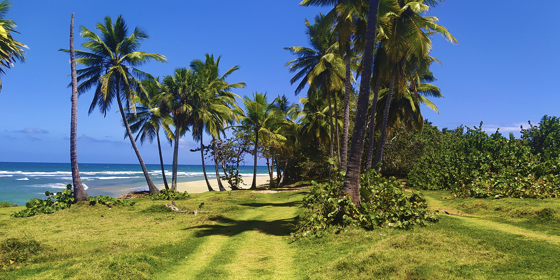 Cabarete Cabarete Puerto Plata Province