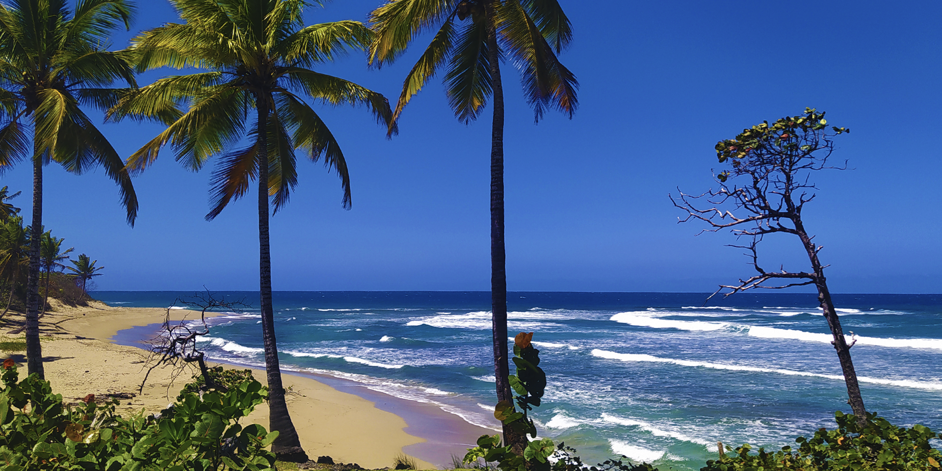 Cabarete Cabarete Puerto Plata Province