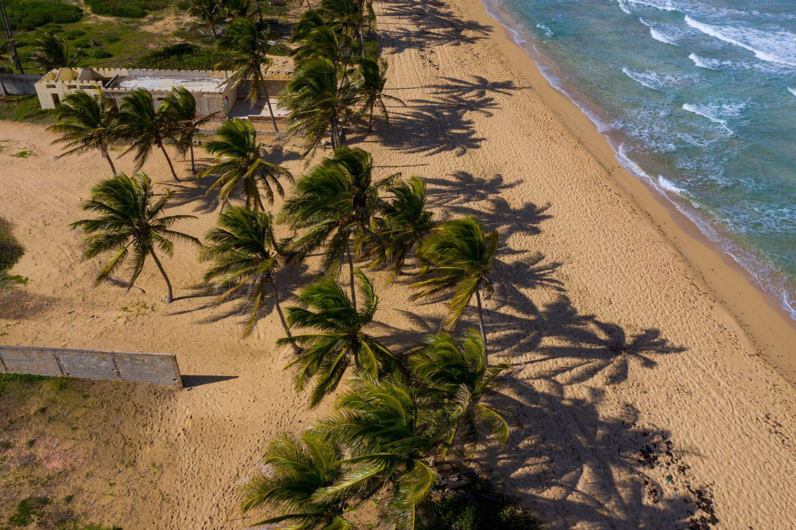 Cap Cana Punta Cana La Altagracia Province