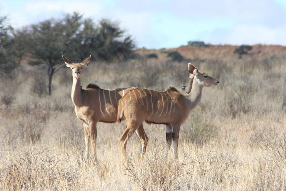  Komatipoort Mpumalanga