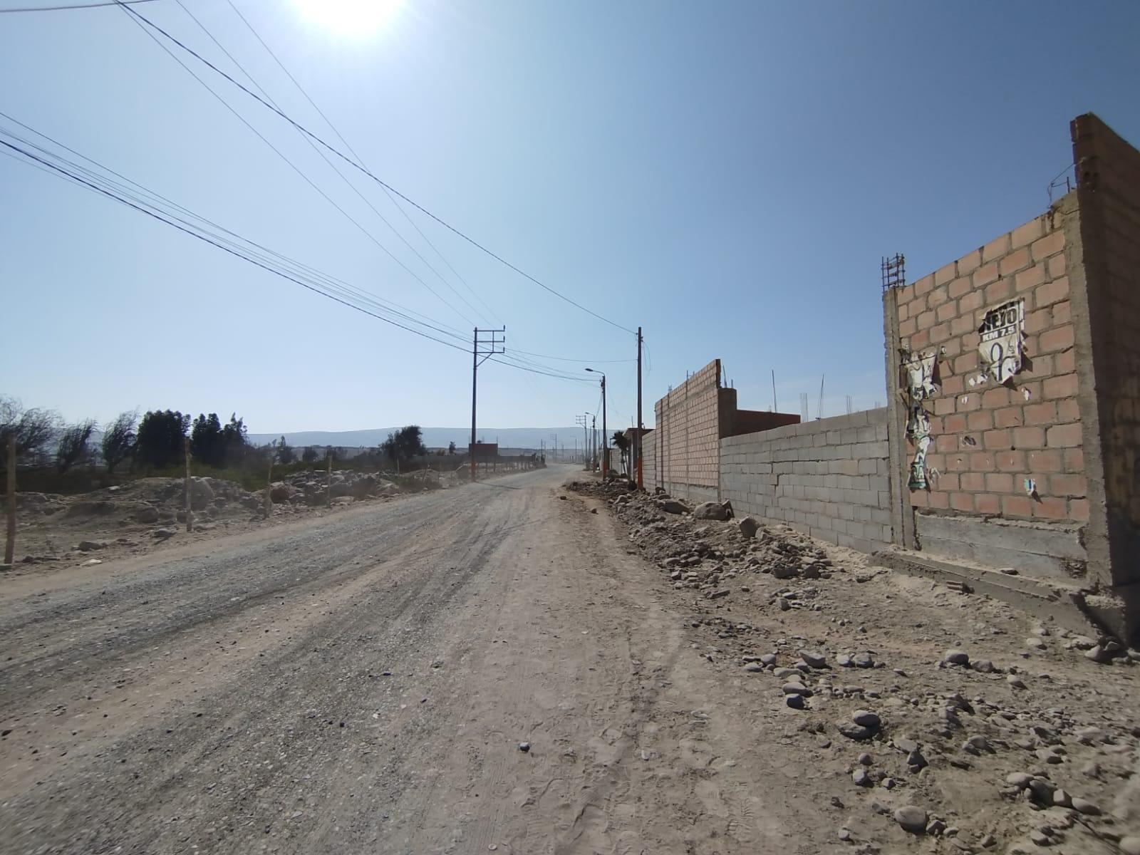  Pachía Tacna
