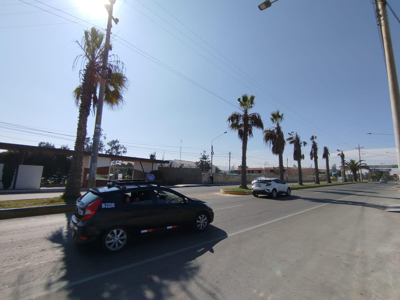  Pachía Tacna