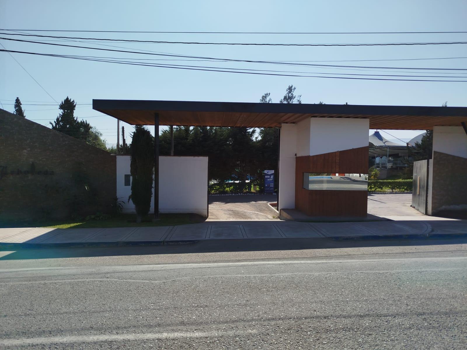  Pachía Tacna