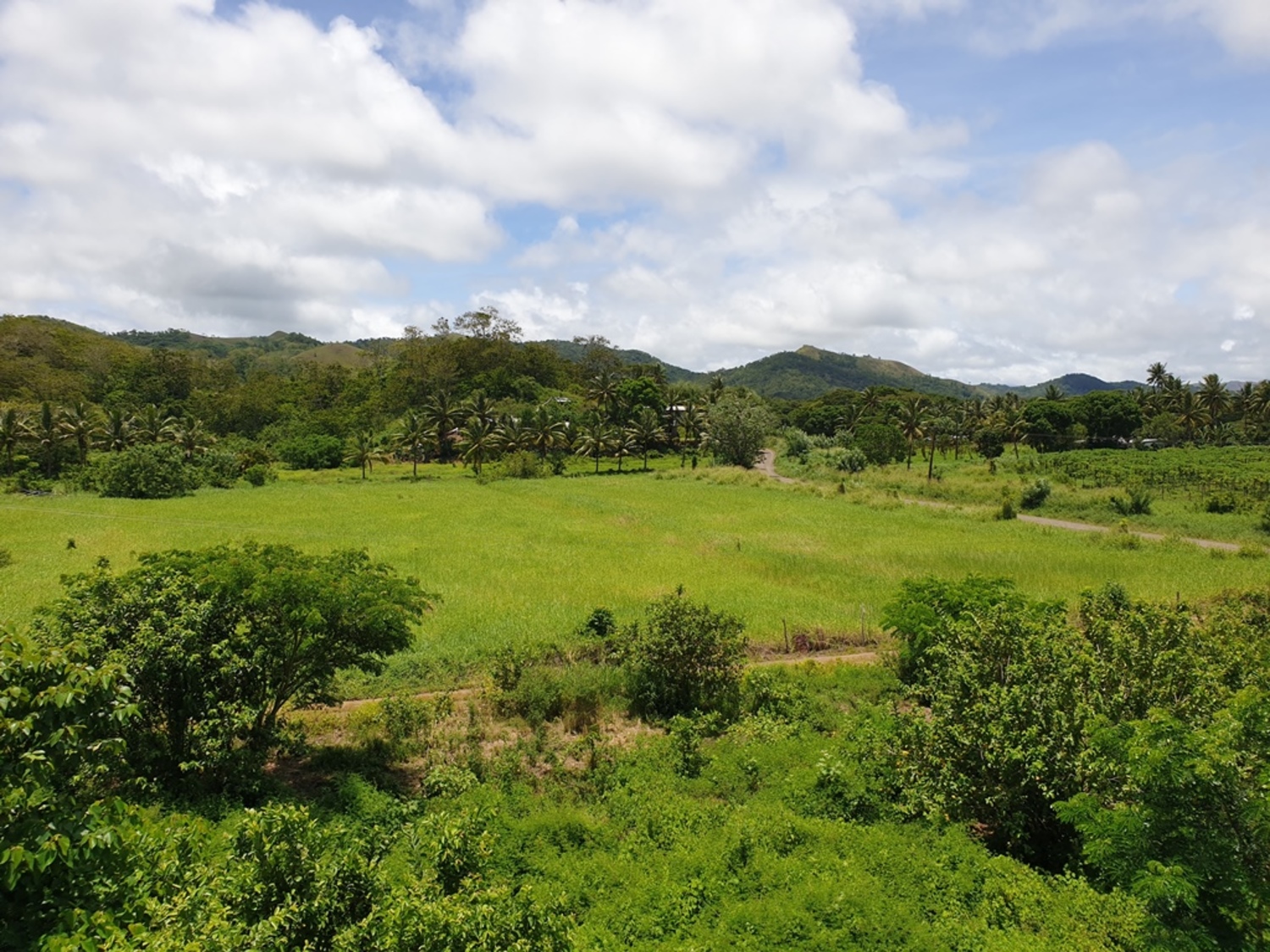  Sigatoka Western Division