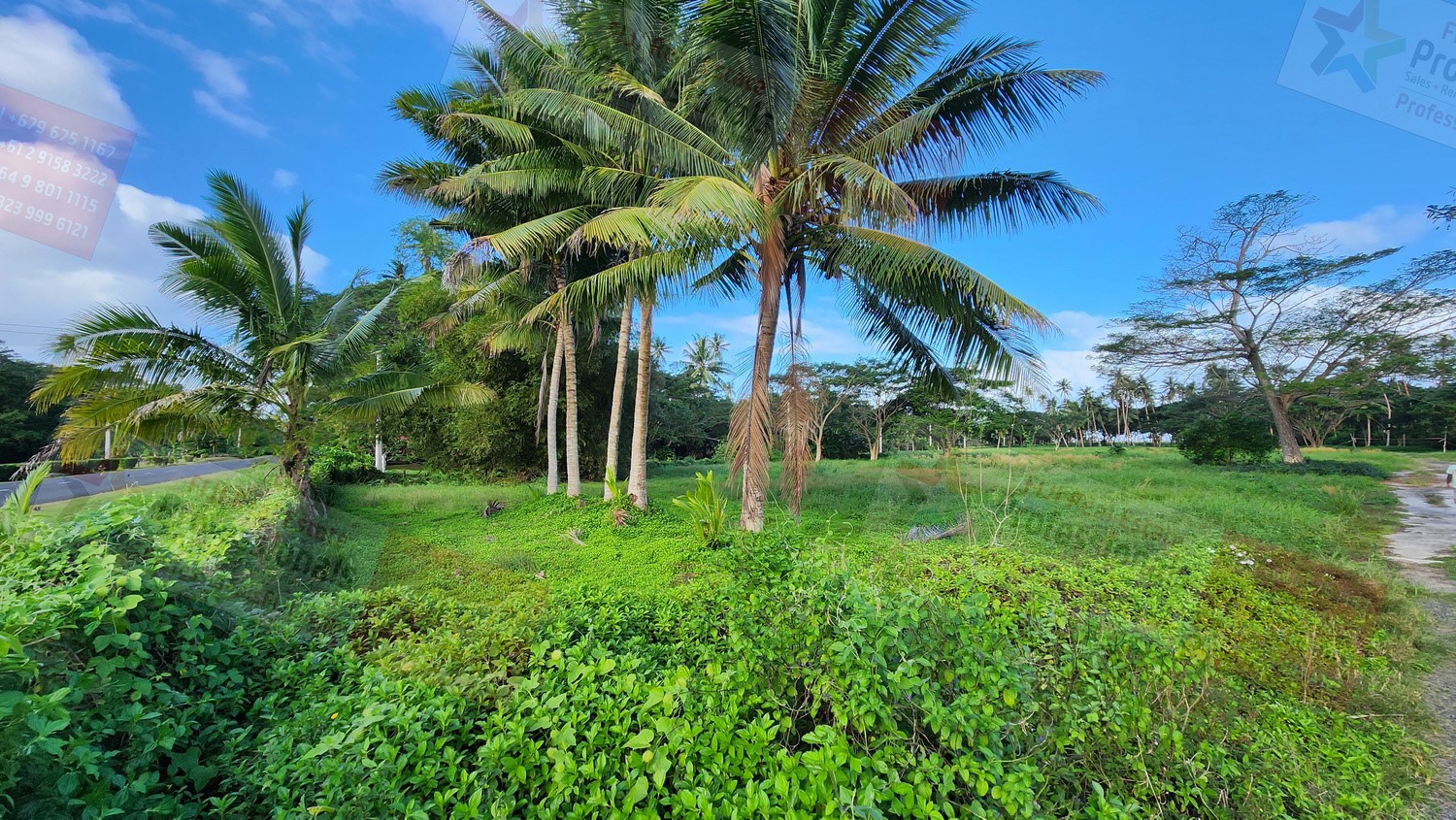  Savusavu Northern Division