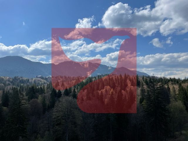 Strada Doina?ului Bra?ov Bra?ov County