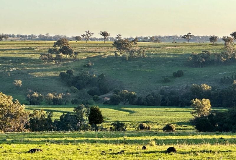 907 Lecoin Road Delungra New South Wales