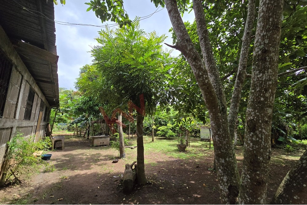  El Rosario Carazo