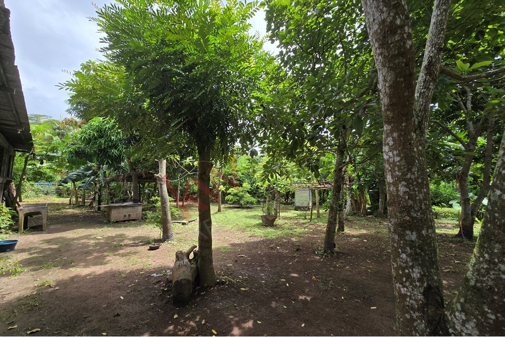  El Rosario Carazo