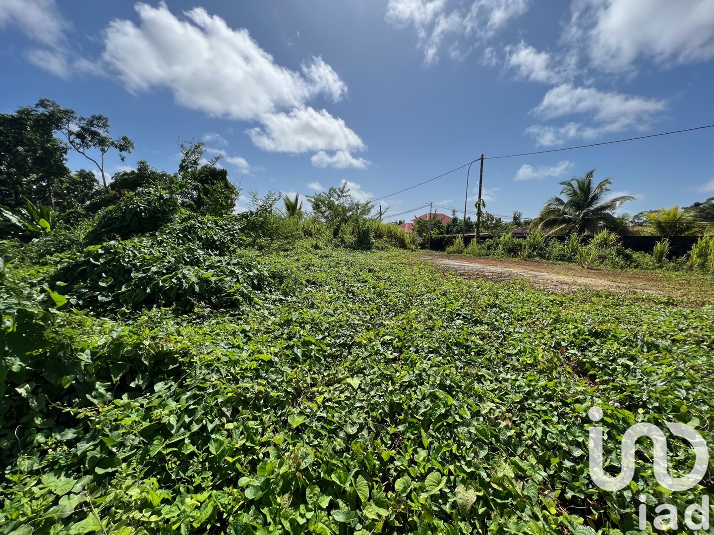  Petit Bourg Basse-Terre
