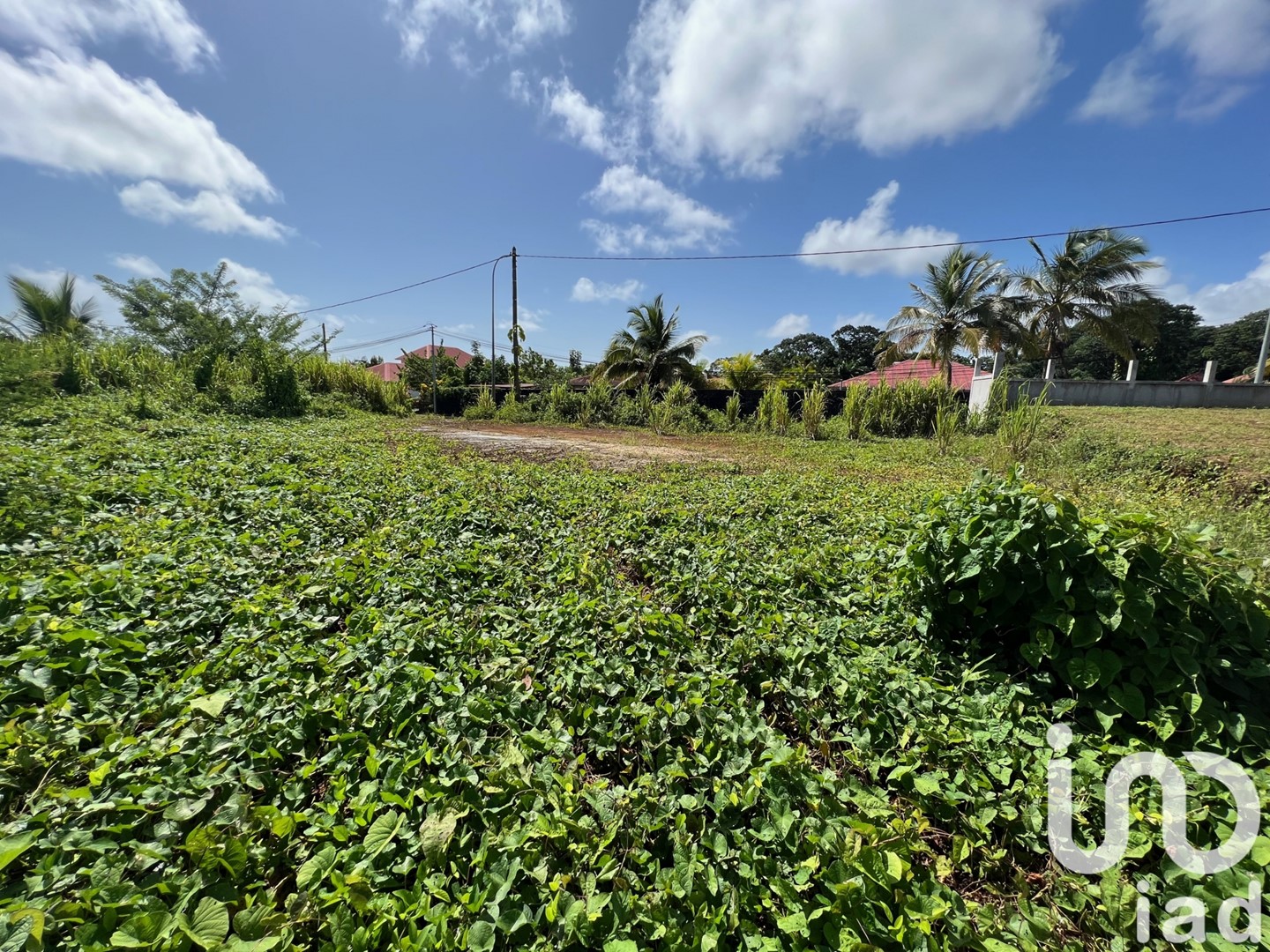  Petit Bourg Basse-Terre