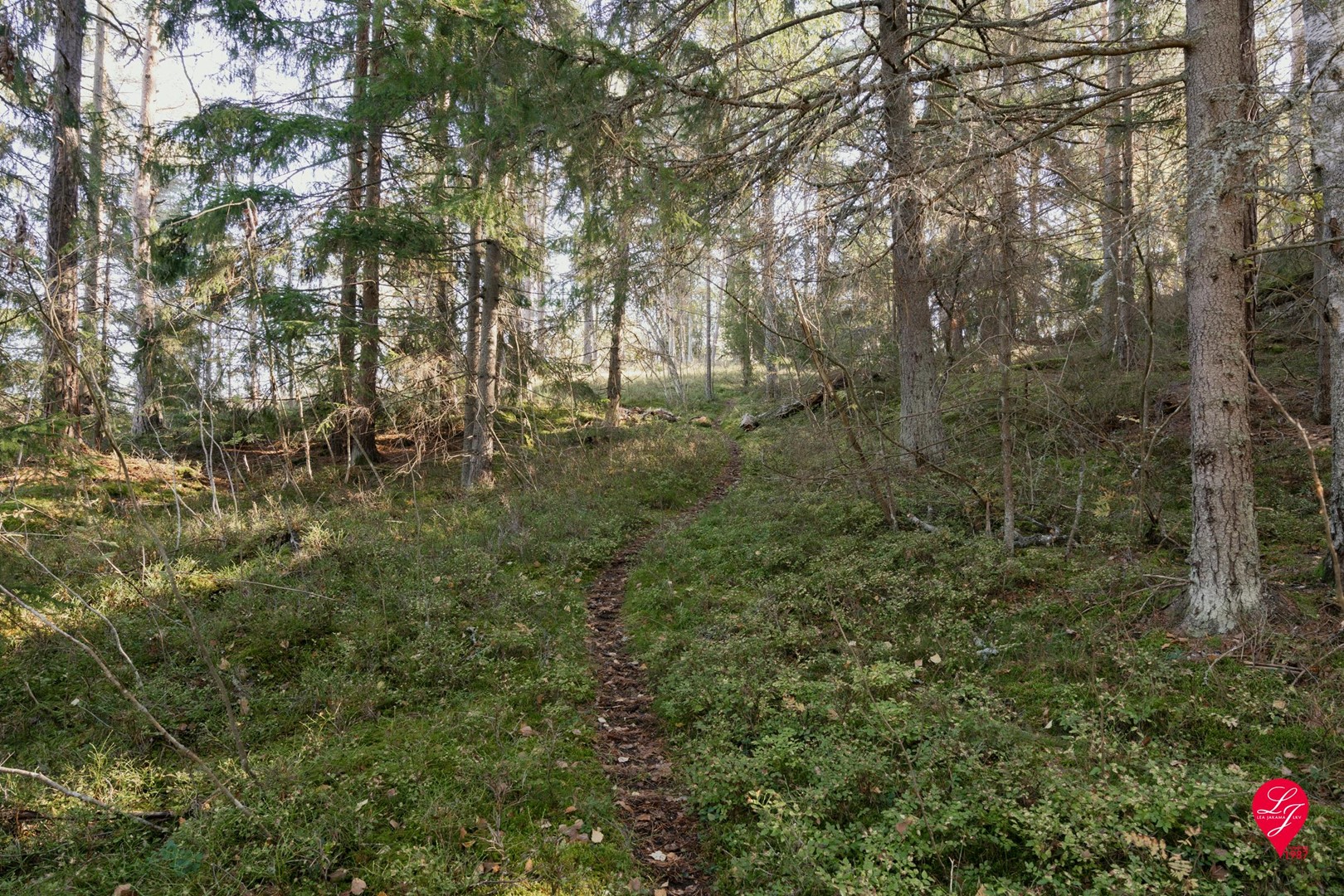 10 Suvisaarentie Espoo Uusimaa