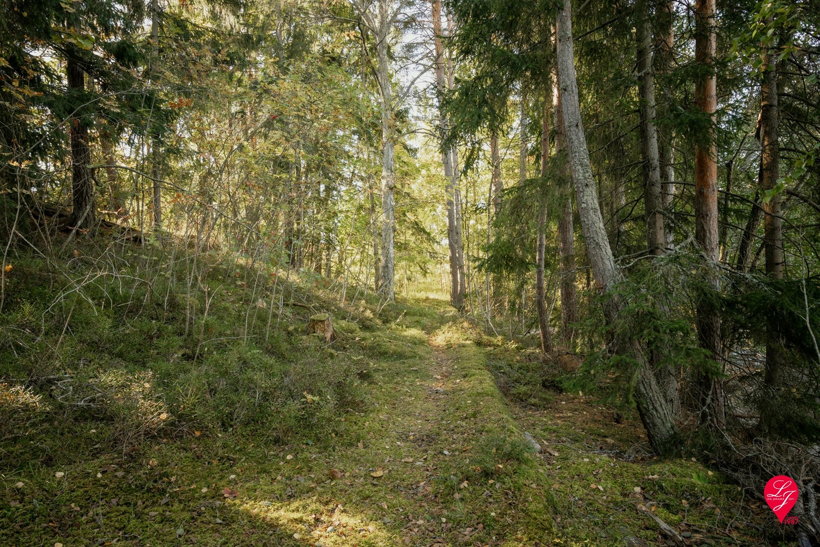 10 Suvisaarentie Espoo Uusimaa