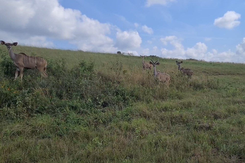 Mbombela, 1 Mbombela Mpumalanga