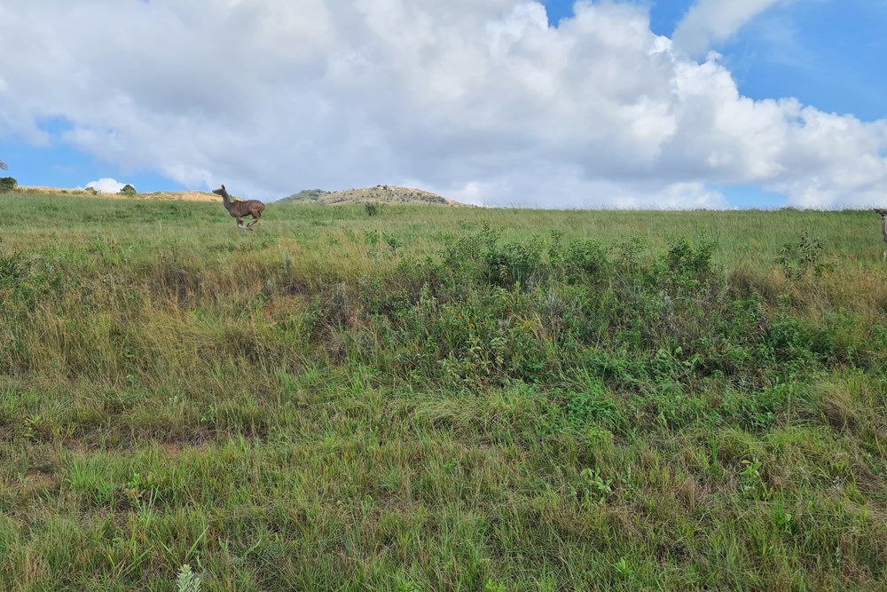 Mbombela, 1 Mbombela Mpumalanga