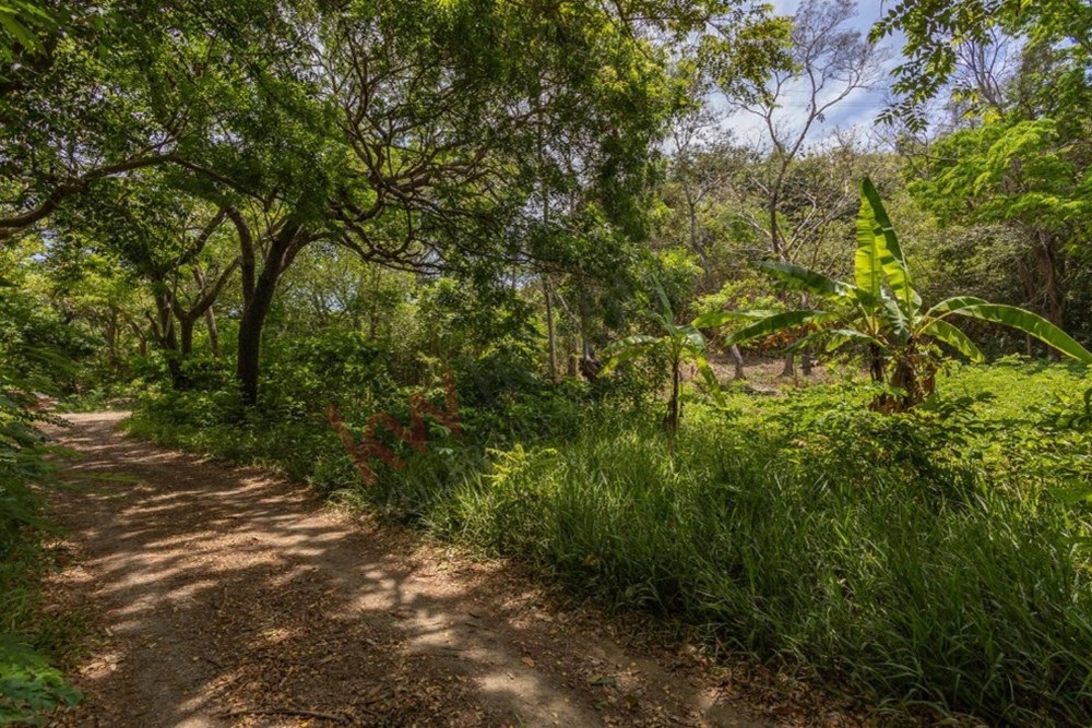  Roatán Bay Islands Department