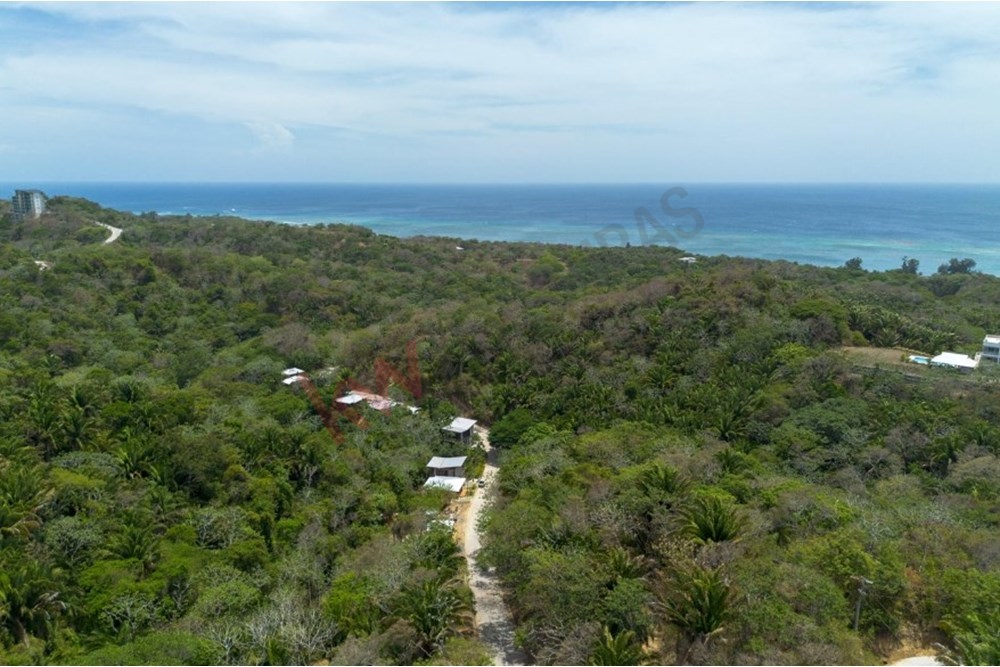  Roatán Bay Islands Department
