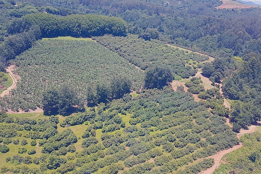 Kiepersol, 10 Hazyview Mpumalanga