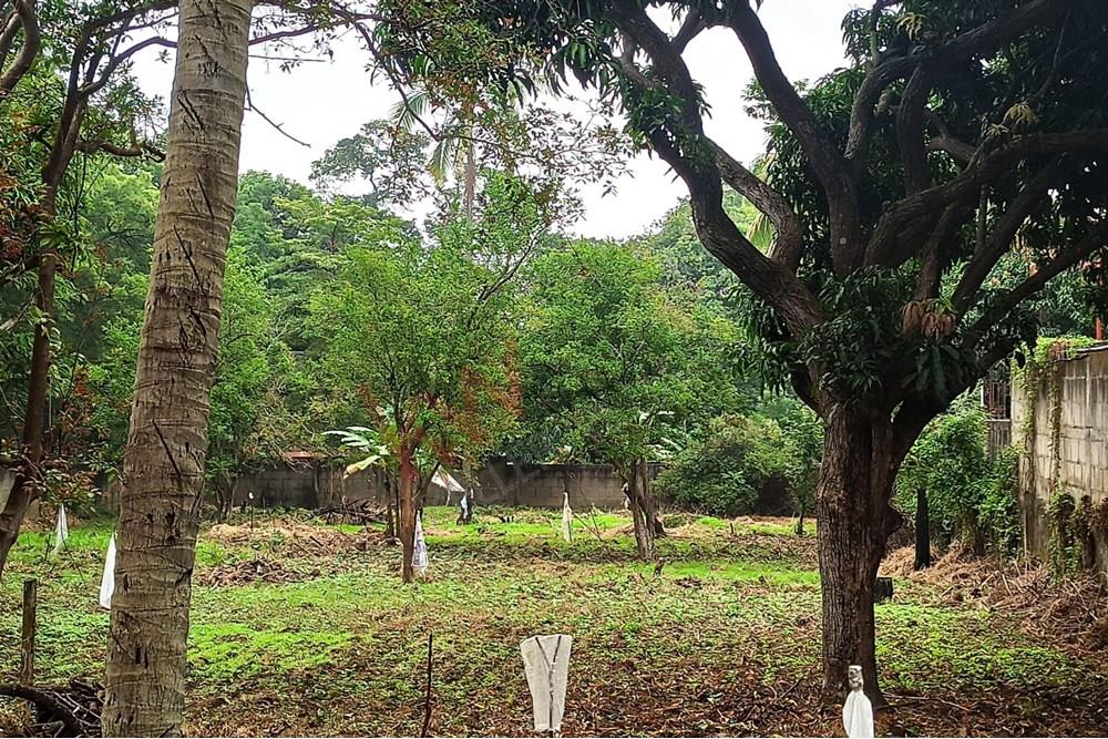  Ticuantepe Managua