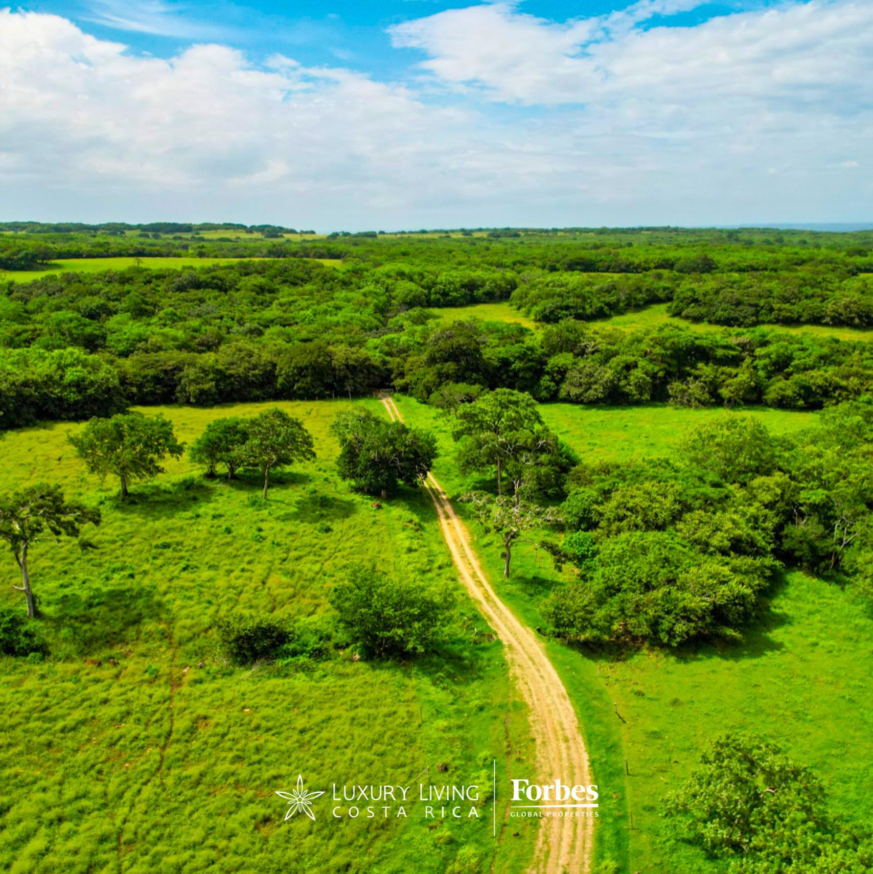 CaÃ±as Dulces Canas Dulces Guanacaste Province