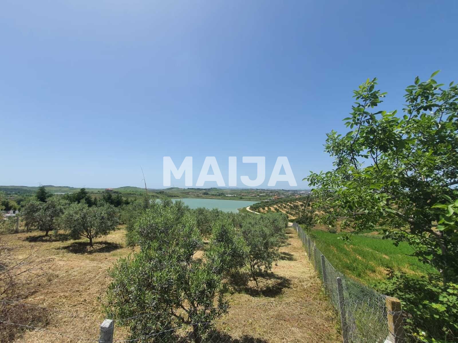 Rruga e repartit te Raketave Maminas Durrës County
