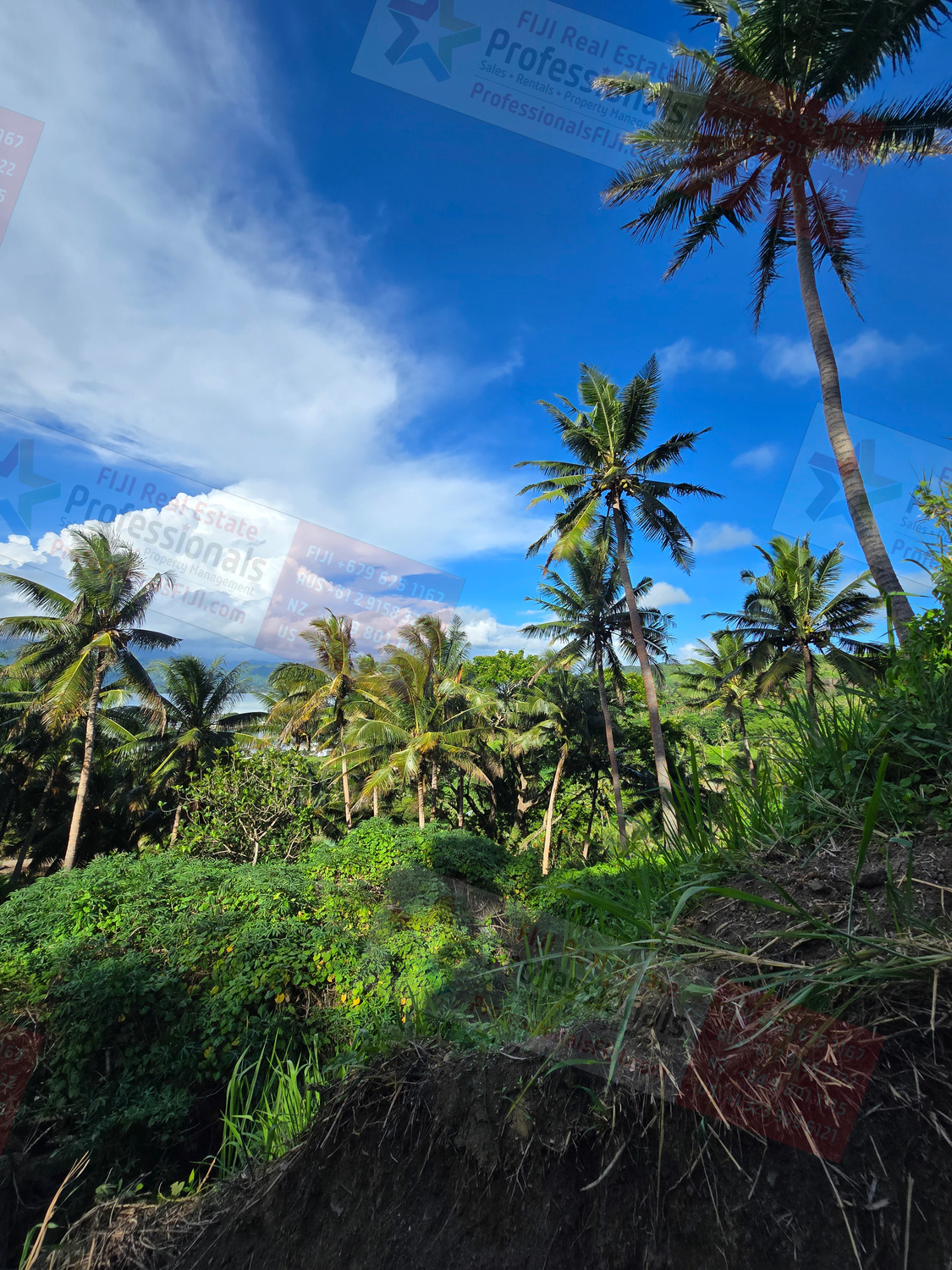  Savusavu Northern Division